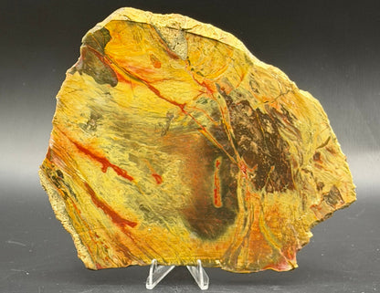 Morrisonite Jasper slab (Unpolished)