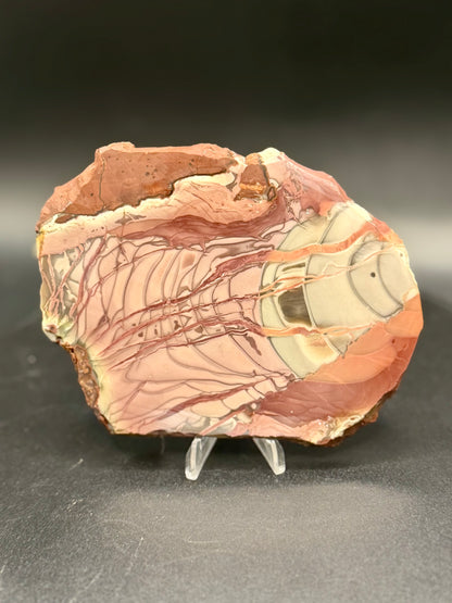 Willow Creek Jasper - Unpolished (AAA)