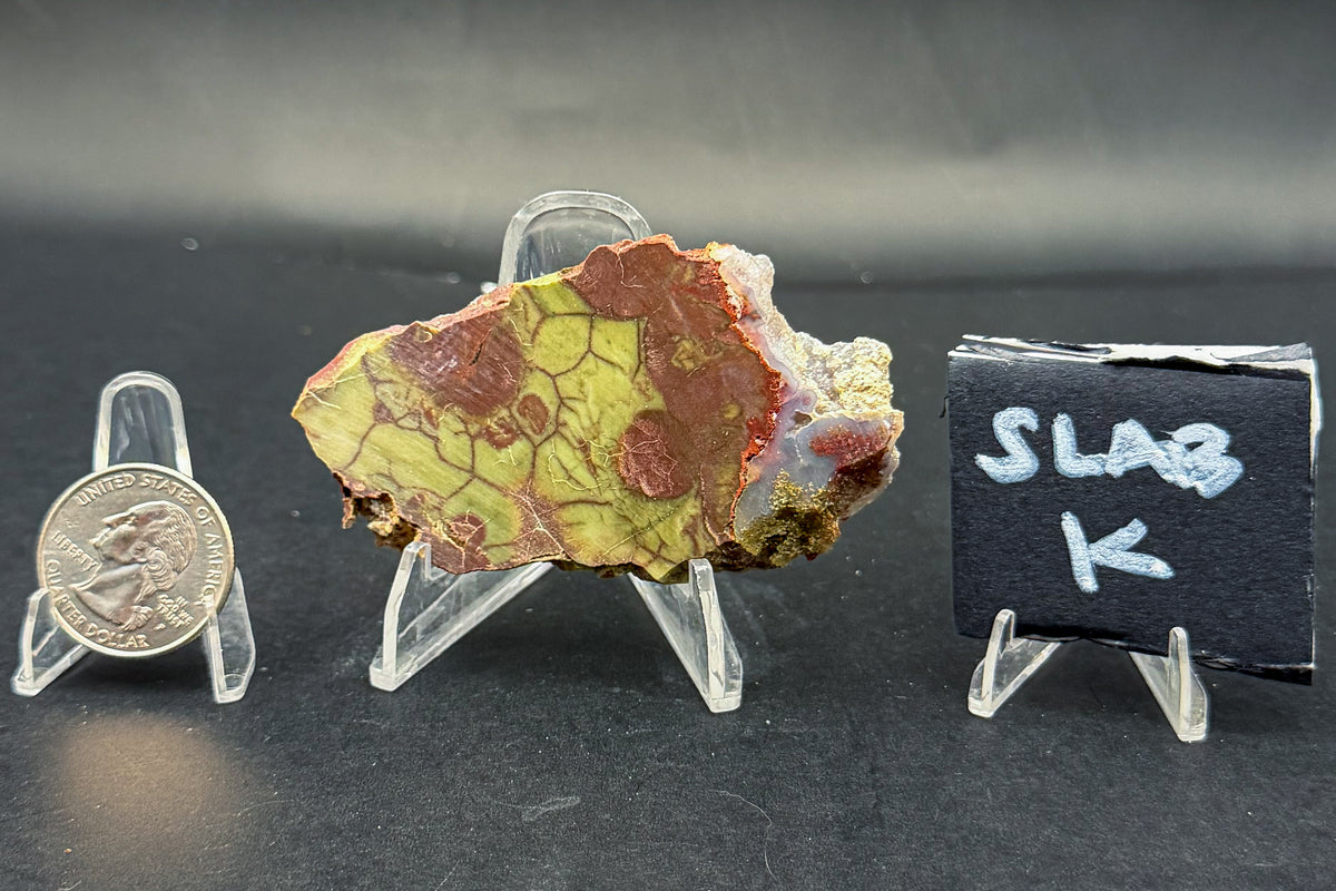 Spiderweb Jasper (Unpolished)