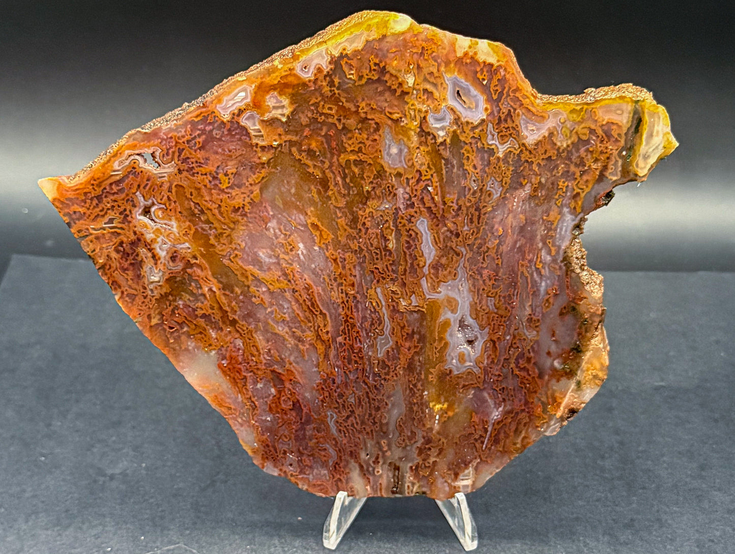 Bull Canyon Tube/Moss Agate (Unpolished)