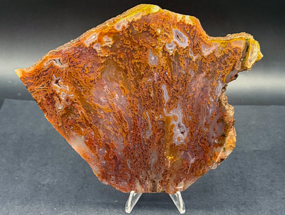 Bull Canyon Tube/Moss Agate (Unpolished)