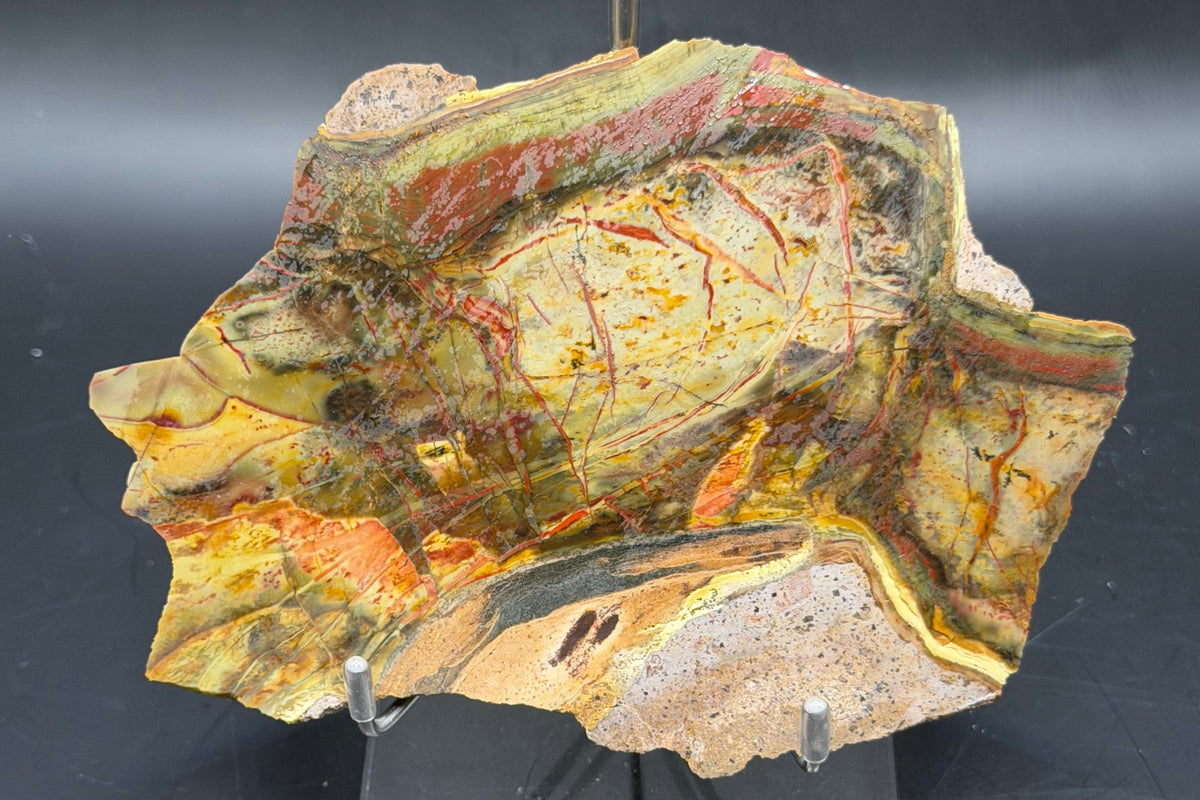 Morrisonite Jasper slab (Unpolished)