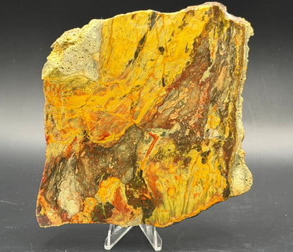 Morrisonite Jasper slab (Unpolished)