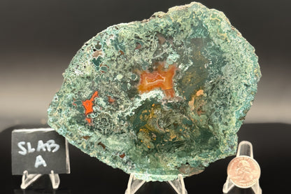 Turkish Limbcast with Agatized Chrysocolla (Unpolished)