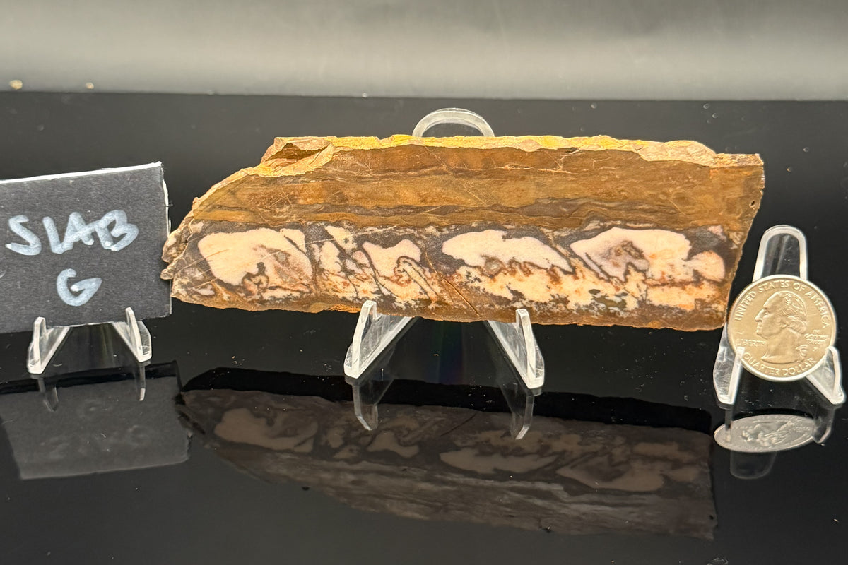 Outback Jasper (Unpolished)