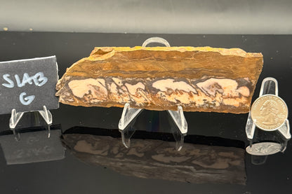 Outback Jasper (Unpolished)