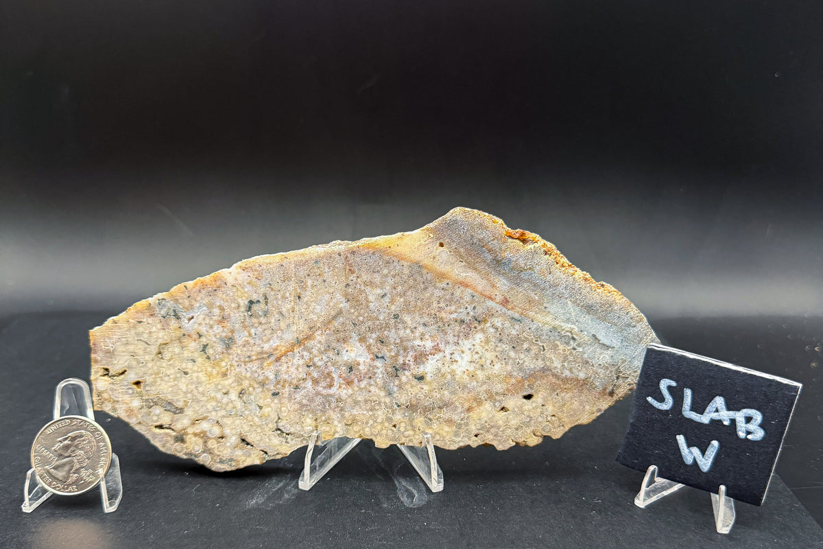 Ocean Jasper Slab (Unpolished)