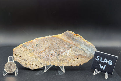 Ocean Jasper Slab (Unpolished)