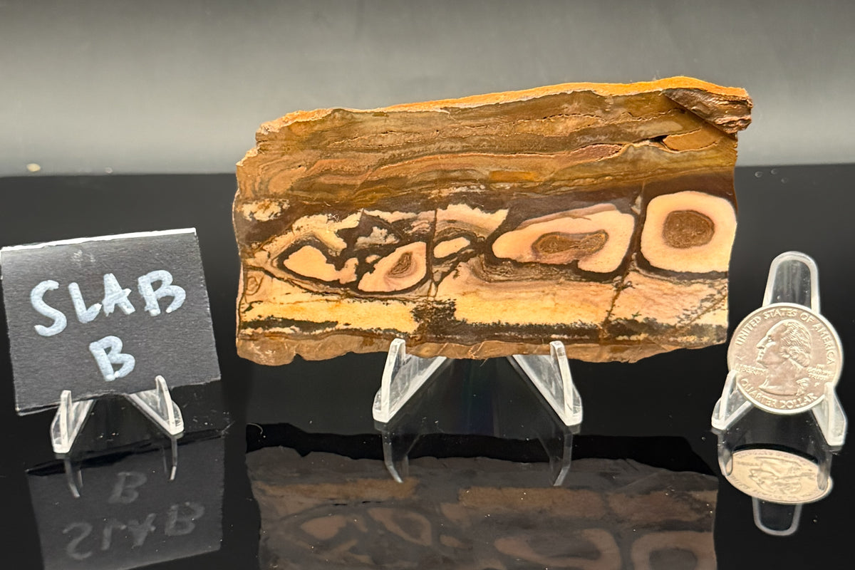 Outback Jasper (Unpolished)