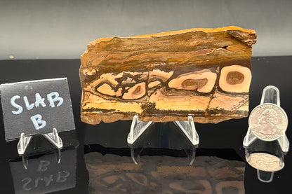 Outback Jasper (Unpolished)