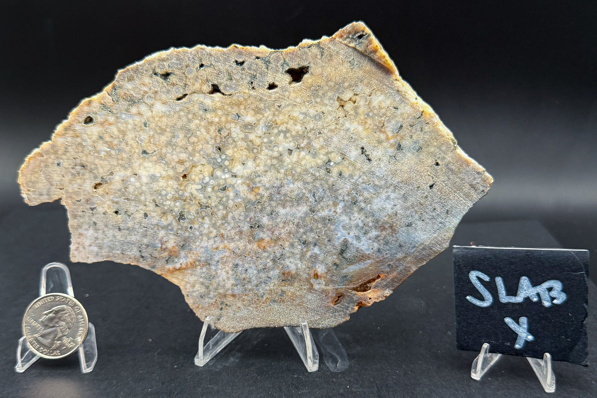 Ocean Jasper Slab (Unpolished)