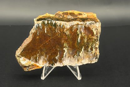 Linda Marie Plume Agate (Unpolished)