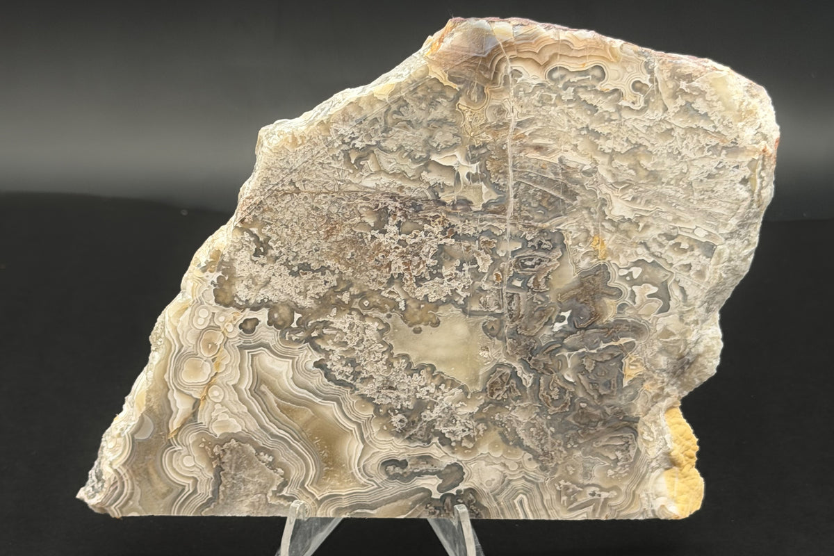 Candle Lace Agate (Unpolished)