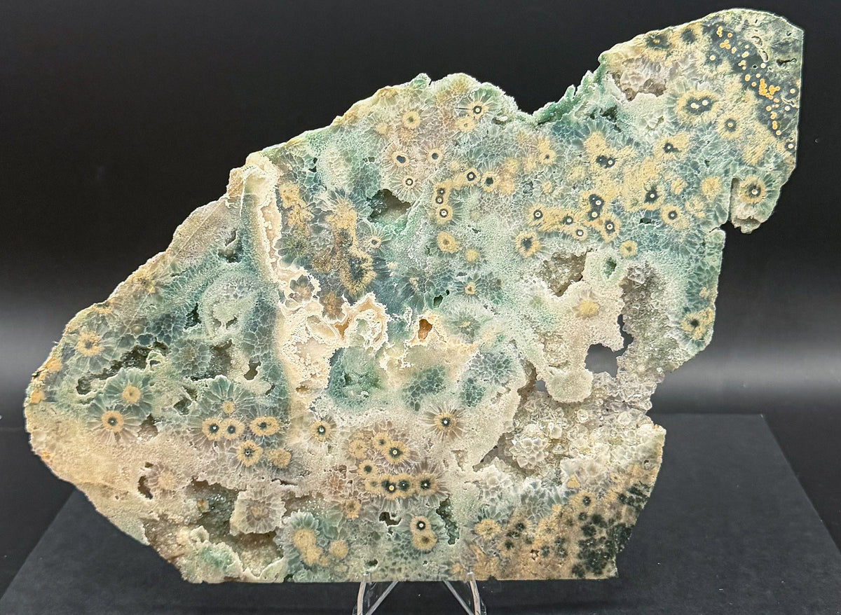 1st Vein Ocean Jasper (Unpolished)