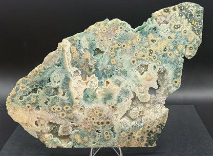 1st Vein Ocean Jasper (Unpolished)