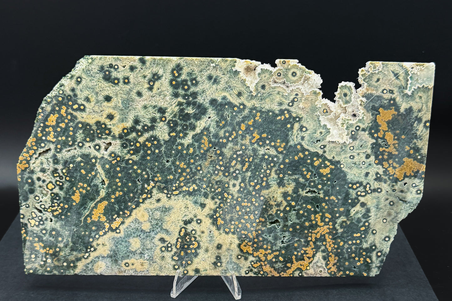1st Vein Ocean Jasper (Unpolished)