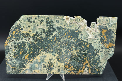 1st Vein Ocean Jasper (Unpolished)