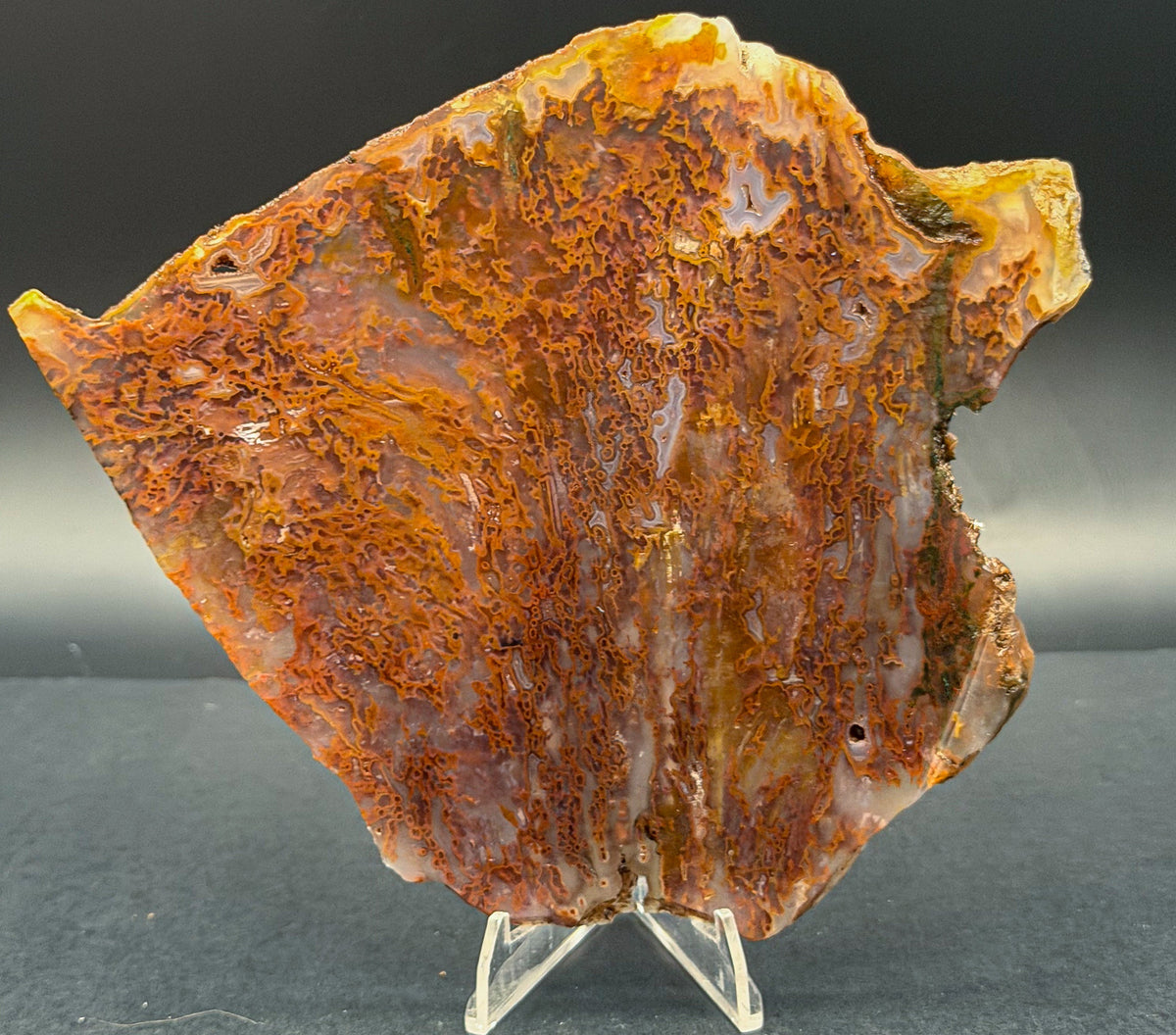 Bull Canyon Tube/Moss Agate (Unpolished)