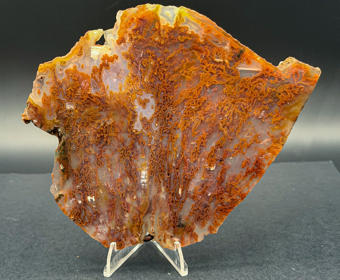 Bull Canyon Tube/Moss Agate (Unpolished)