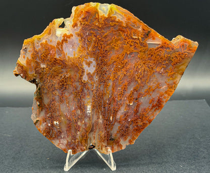 Bull Canyon Tube/Moss Agate (Unpolished)