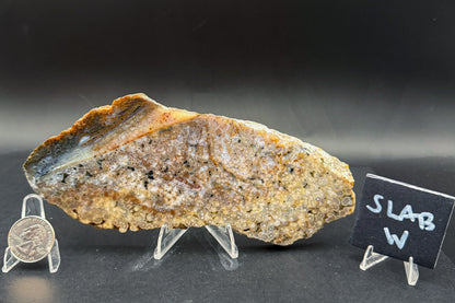 Ocean Jasper Slab (Unpolished)