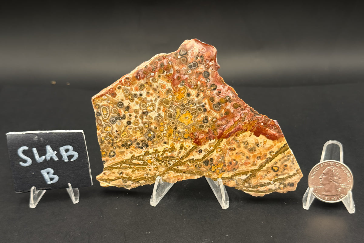 Leopard Skin Rhyolite (Unpolished)