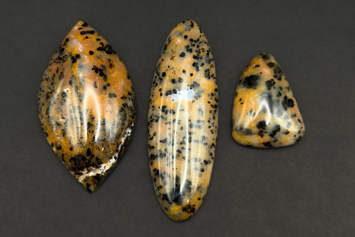 Cheetah Agate