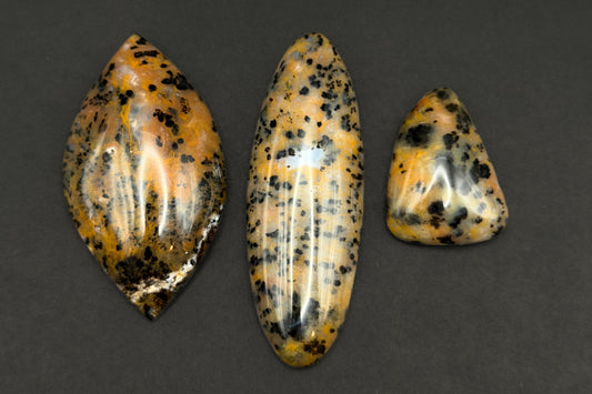 Cheetah Agate