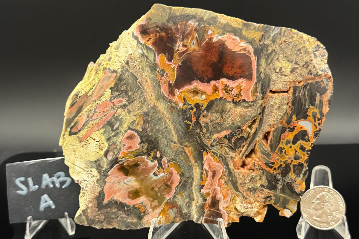 Turkish Petrified Wood (Unpolished)