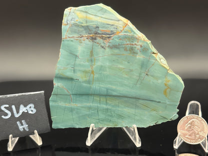 Skagg's Jasper (Unpolished)