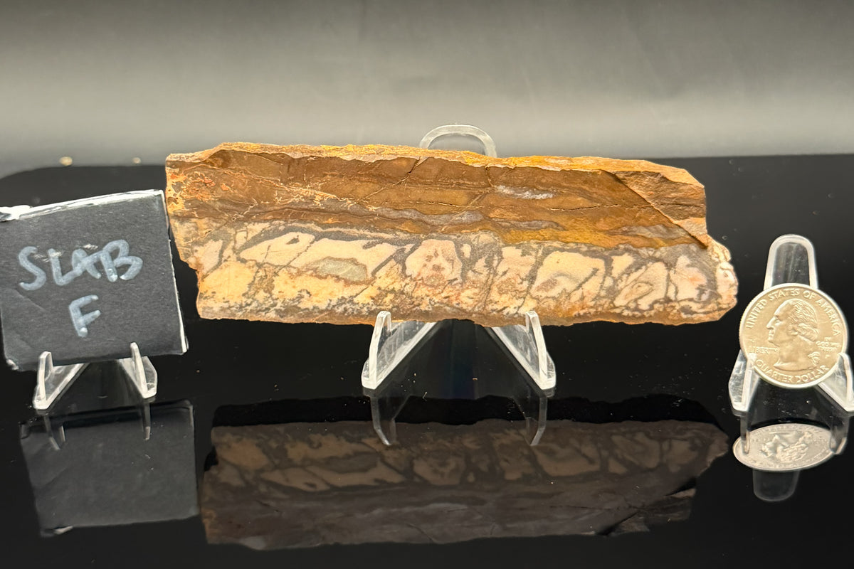 Outback Jasper (Unpolished)