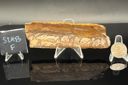 Outback Jasper (Unpolished)