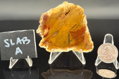 Indonesian Moss Agate (Unpolished)