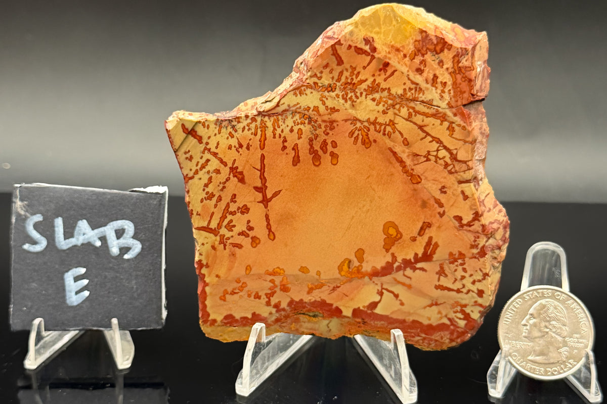 Owyhee Jasper (Unpolished)
