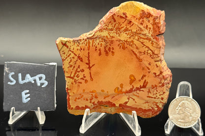 Owyhee Jasper (Unpolished)