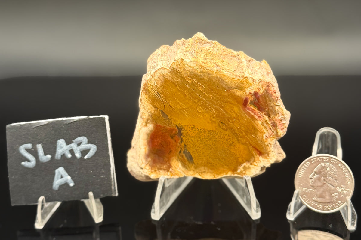 Indonesian Moss Agate (Unpolished)