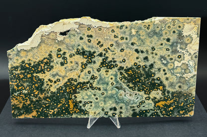 1st Vein Ocean Jasper (Unpolished)
