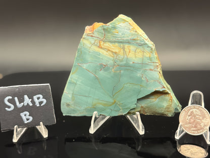 Skagg's Jasper (Unpolished)