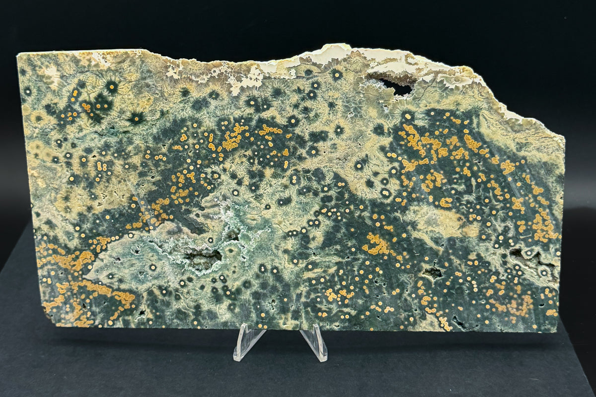 1st Vein Ocean Jasper (Unpolished)