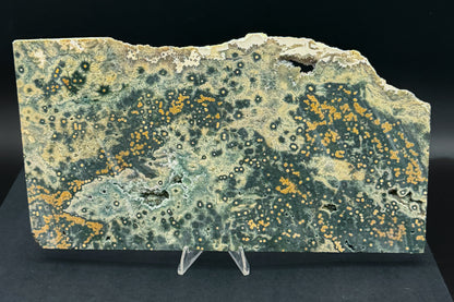 1st Vein Ocean Jasper (Unpolished)