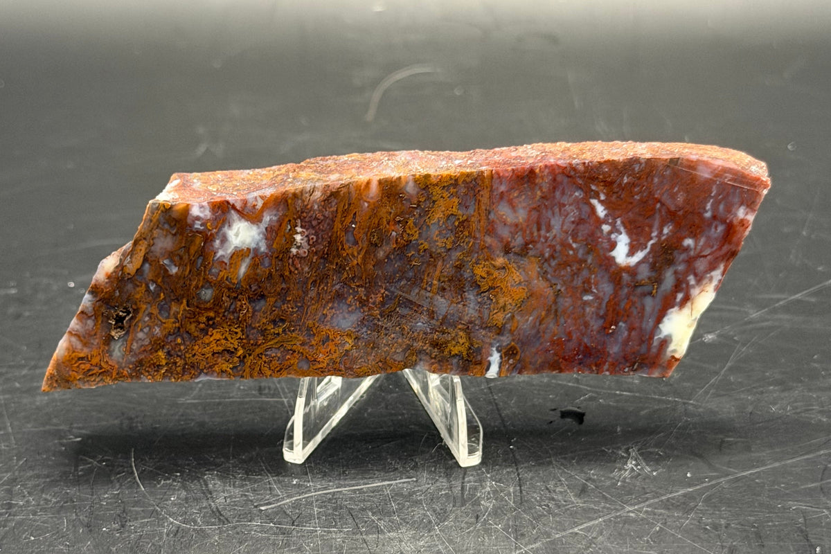 Maury Mountain Moss Agate (Unpolished) Slabs