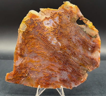 Bull Canyon Tube/Moss Agate (Unpolished)