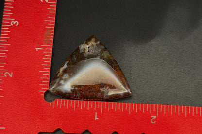 Maury Mountain Moss Agate Cabochon