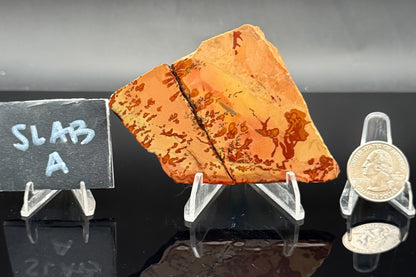 Owyhee Jasper (Unpolished)