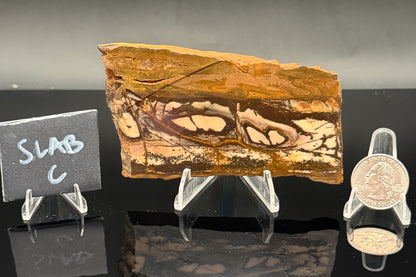 Outback Jasper (Unpolished)