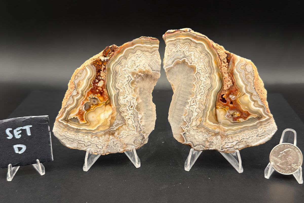 Candle Lace Agate Slab Set (Unpolished)