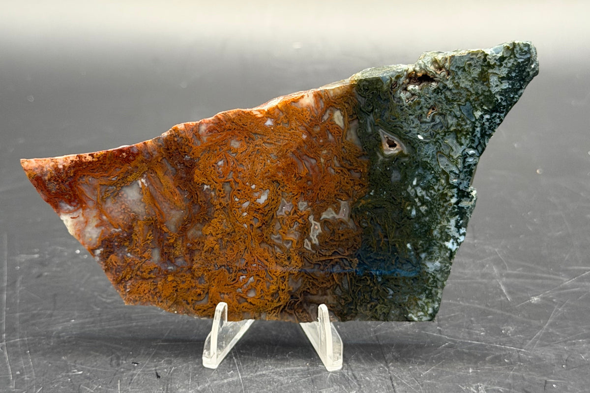 Maury Mountain Moss Agate (Unpolished) Slabs
