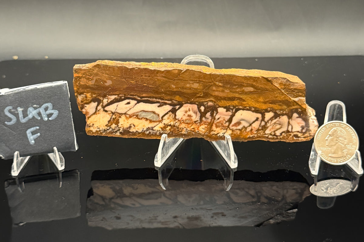Outback Jasper (Unpolished)