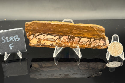 Outback Jasper (Unpolished)