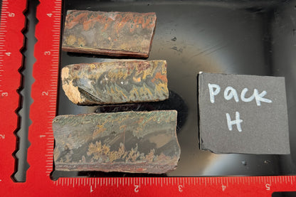 2026 Idaho Wildfire Slab Pack
